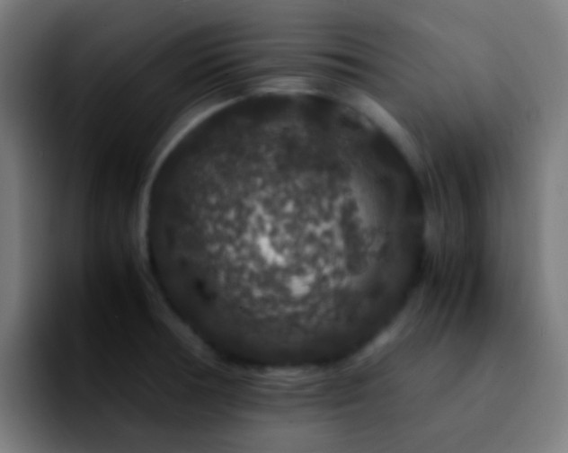 X0000092291378200709211205