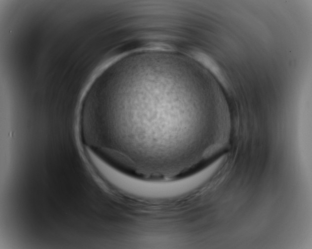 X0000092291379200709211205