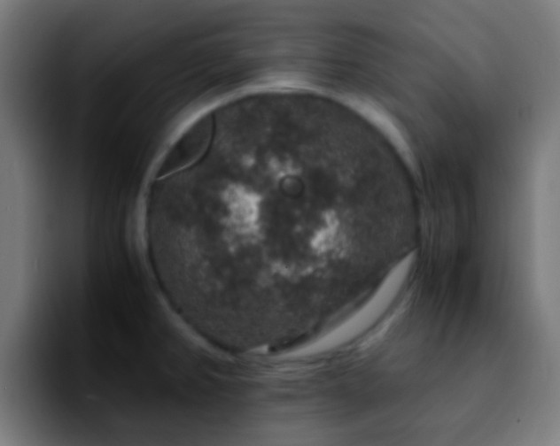 X0000092291382200709211205