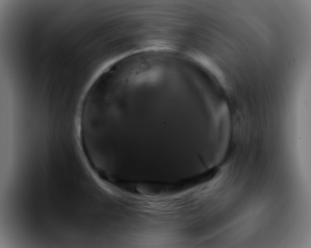 X0000092291383200709211205