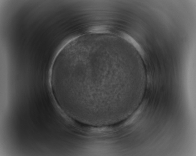 X0000092291386200709211205