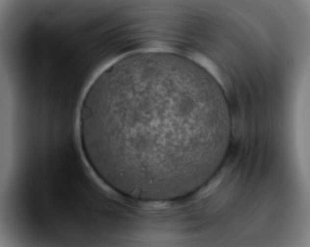 X0000092291387200709211205