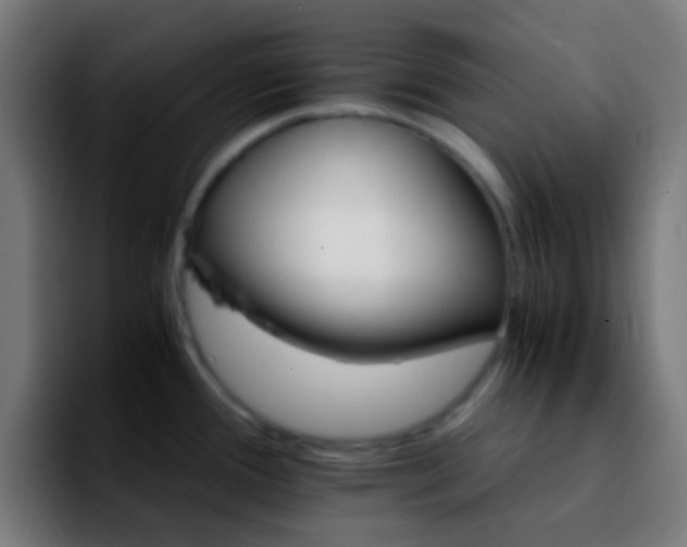 X0000092291388200709211205