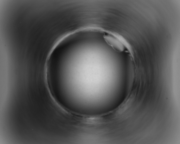 X0000092291390200709211205