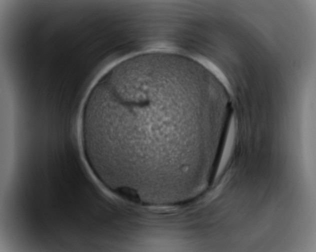 X0000092291391200709211205