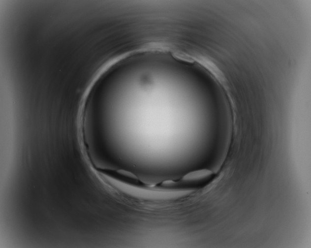 X0000092291392200709211205