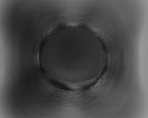 X0000092291394200709211205