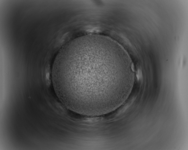 X0000092291396200709211205