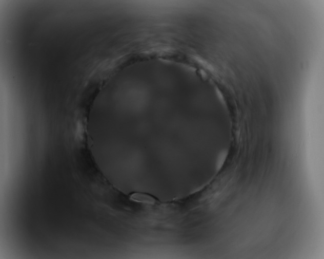 X0000092291397200709211205