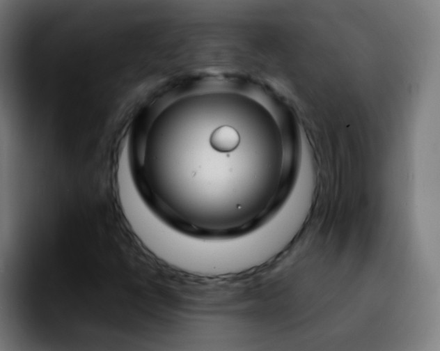 X0000092291398200709211205