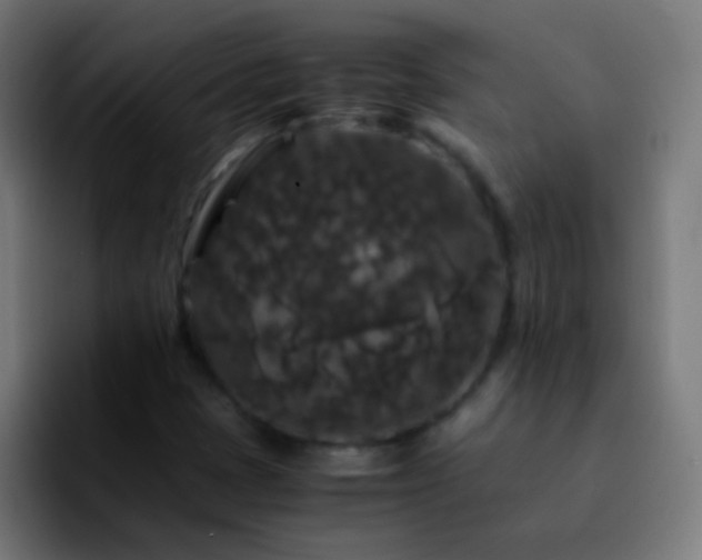 X0000092291401200709211205