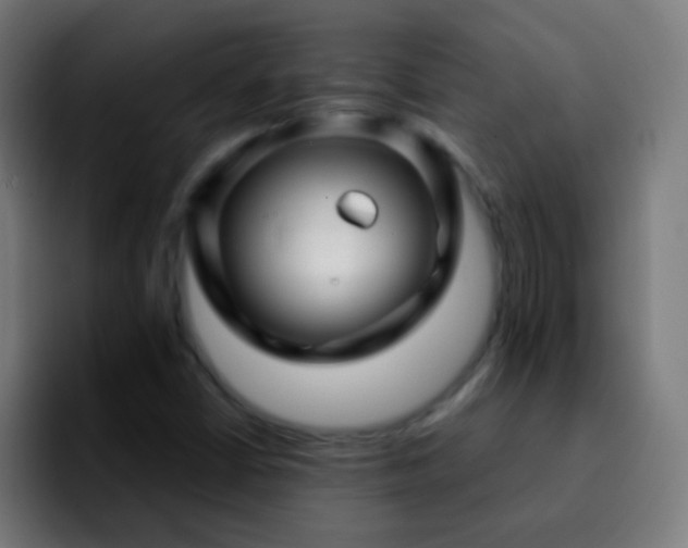 X0000092291402200709211205