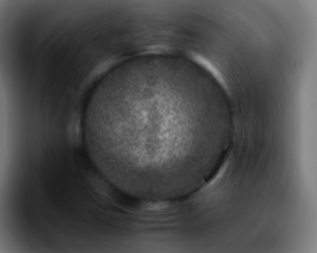 X0000092291403200709211205