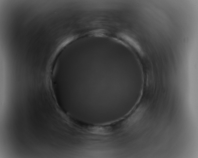 X0000092291405200709211205