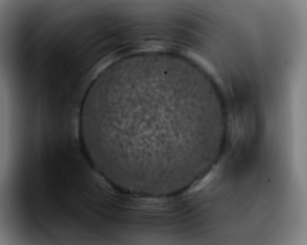 X0000092291409200709211205