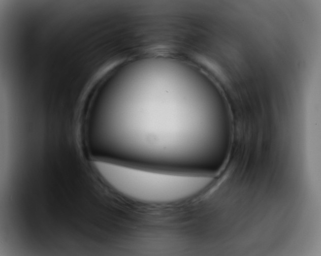 X0000092291410200709211205