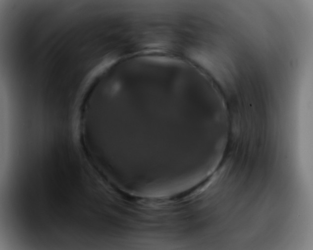 X0000092291411200709211205