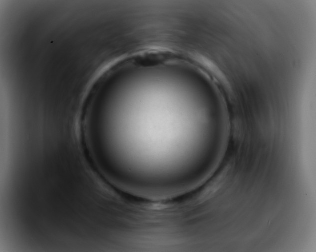 X0000092291412200709211205