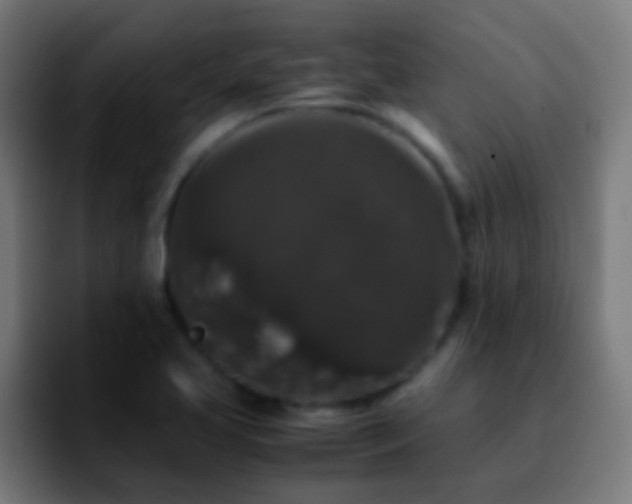 X0000092291413200709211205