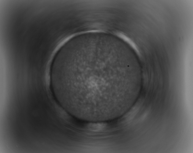 X0000092291415200709211205