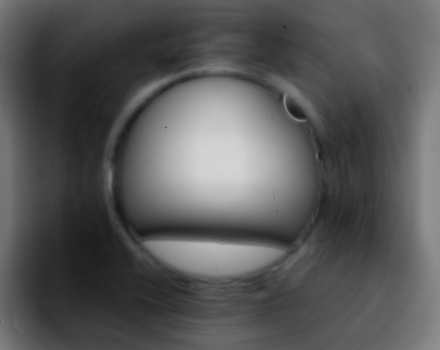 X0000092291416200709211205