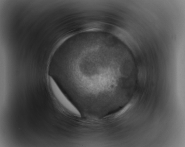 X0000092291417200709211205