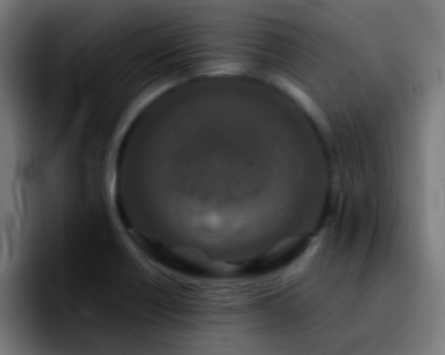 X0000092291418200709211205