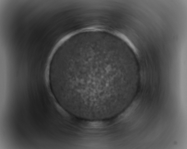 X0000092291421200709211205