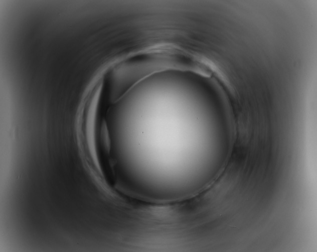 X0000092291422200709211205