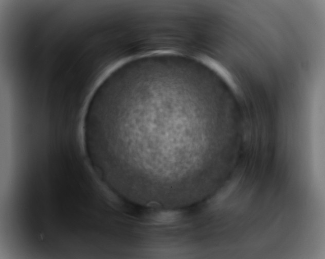 X0000092291423200709211205