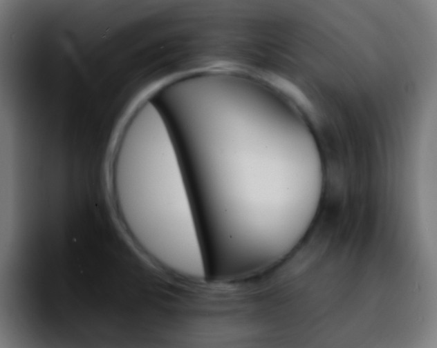 X0000092291424200709211205