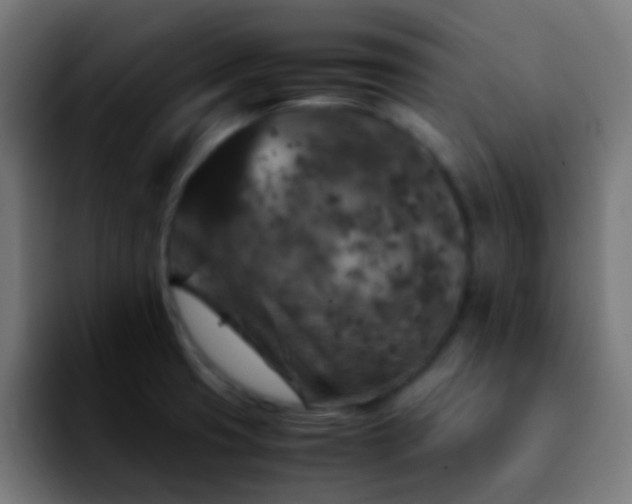 X0000092291425200709211205