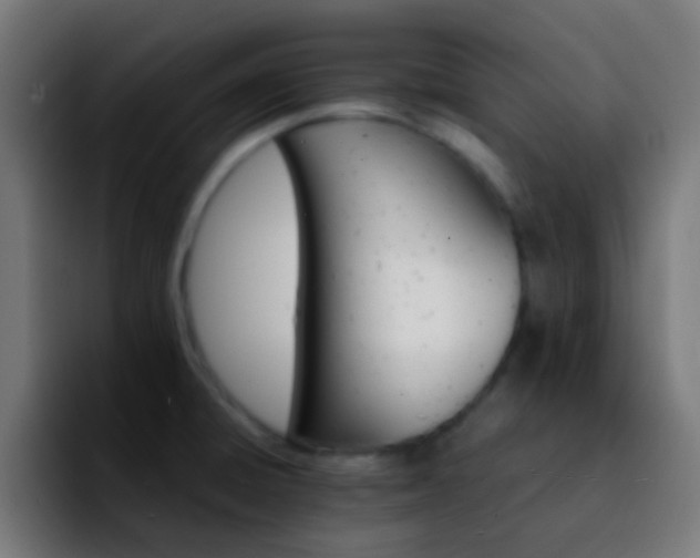 X0000092291428200709211205