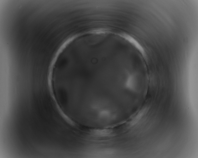 X0000092291429200709211205