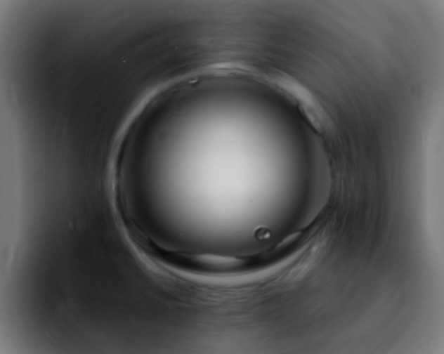 X0000092291430200709211205