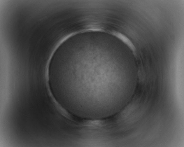 X0000092291431200709211205