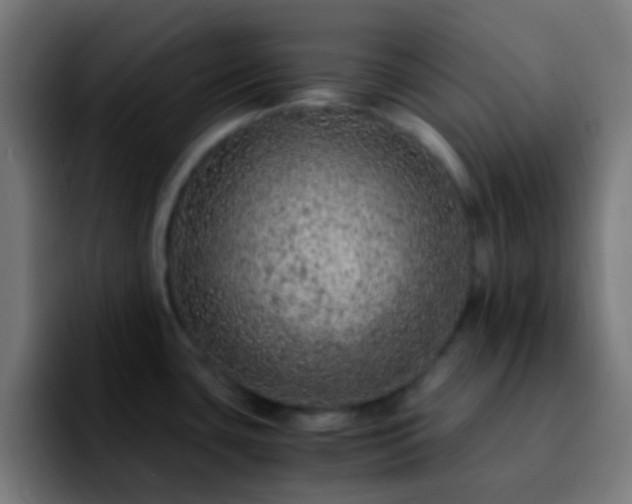 X0000092291435200709211205