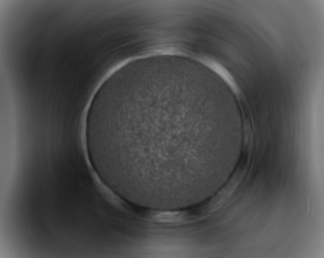 X0000092291439200709211205