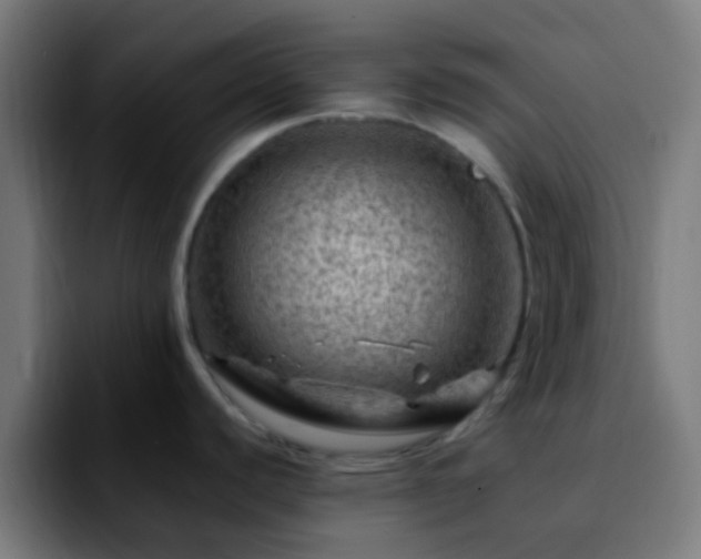 X0000092291440200709211205