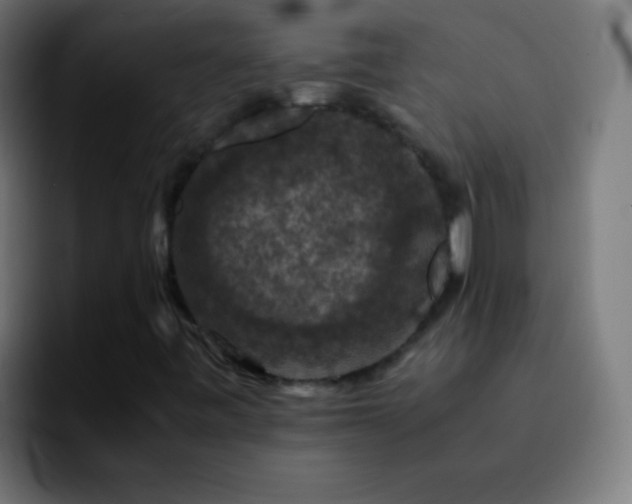 X0000092291443200709211205