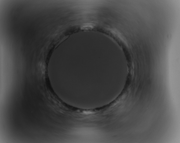 X0000092291445200709211205