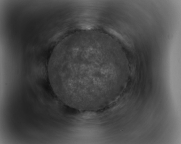 X0000092291446200709211205