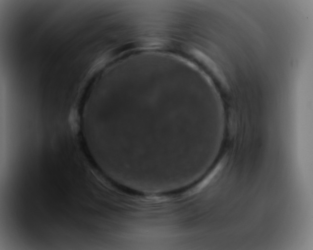 X0000092291449200709211205