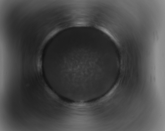 X0000092291450200709211205