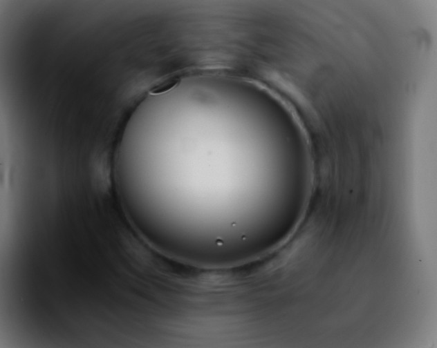 X0000092291451200709211205