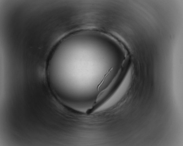 X0000092291452200709211205