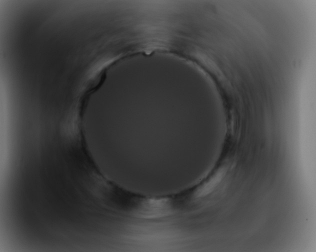 X0000092291453200709211205