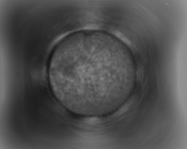 X0000092291454200709211205