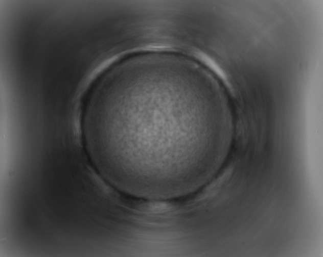 X0000092291456200709211205