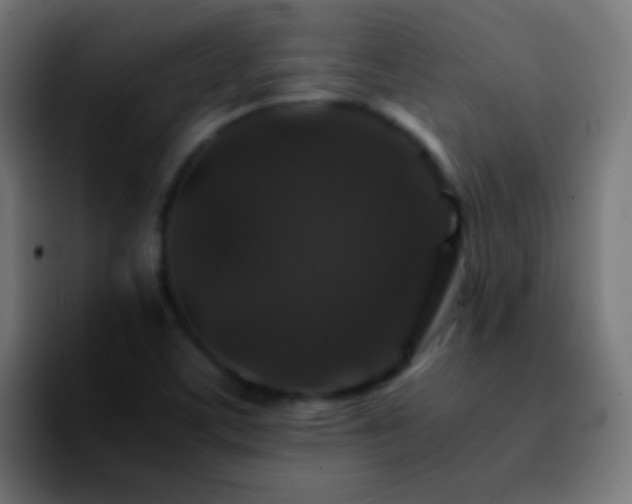 X0000092291459200709211205